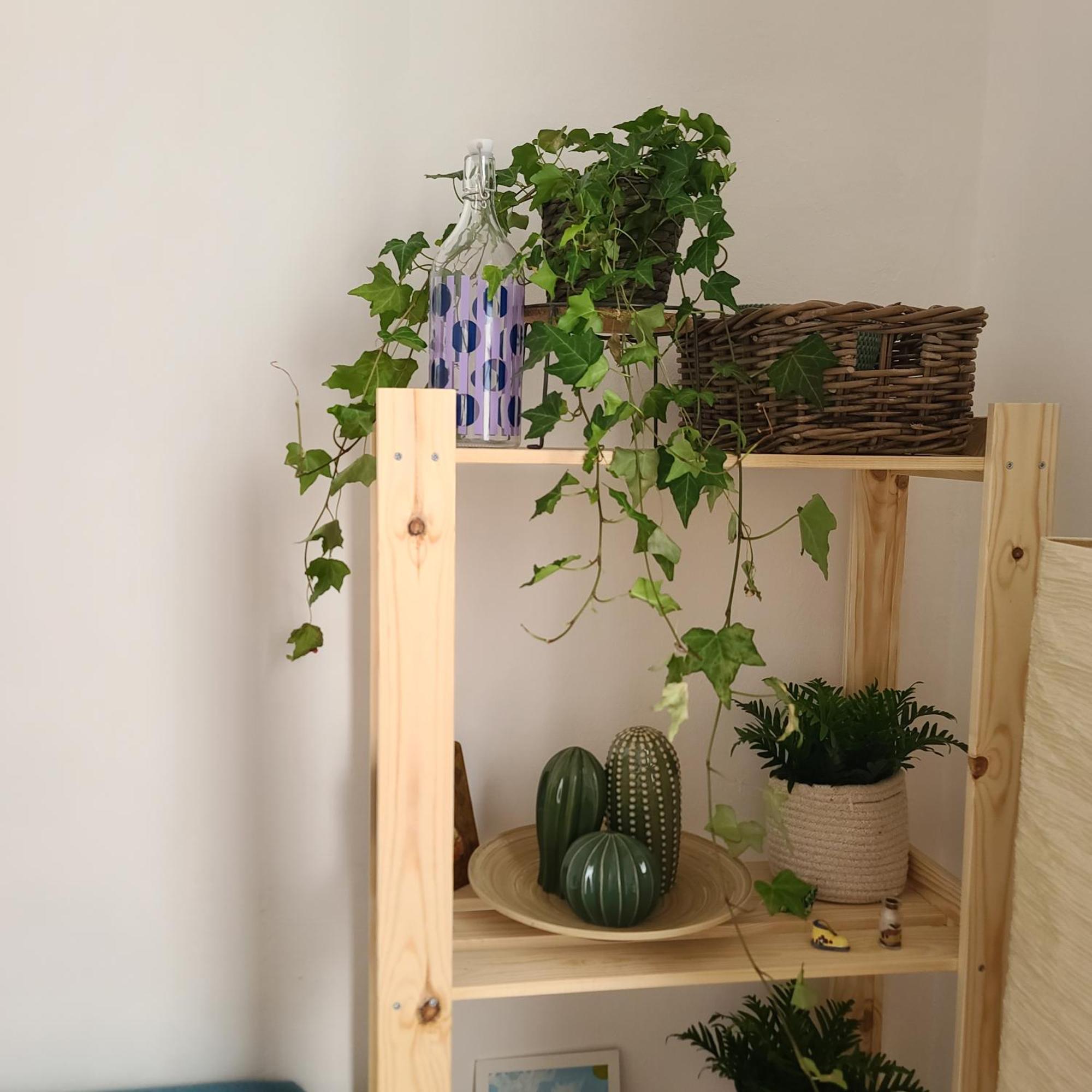 Mariamora Apartment Bari Extérieur photo